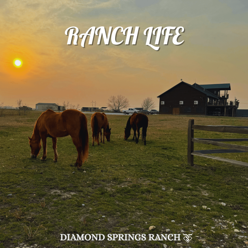 Diamond Springs Ranch